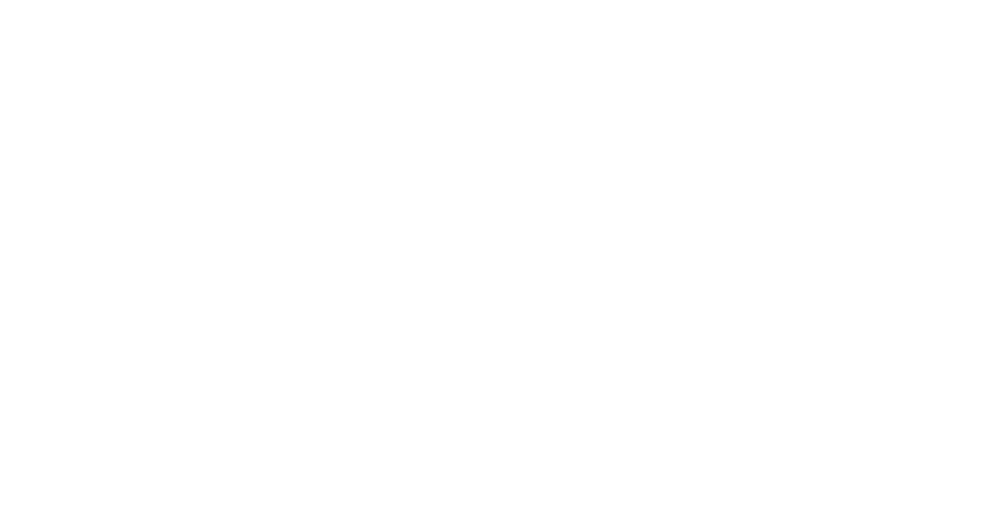 Ravi Brasileiro